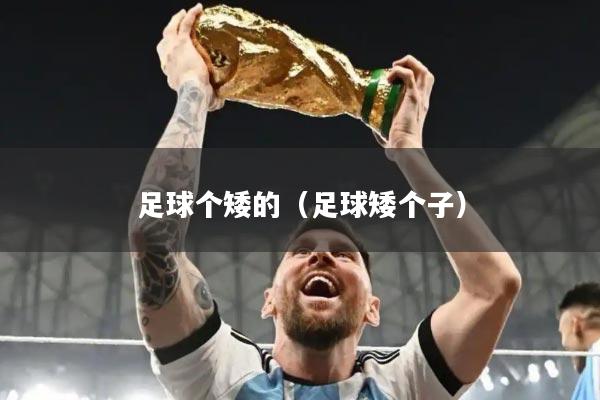 足球个矮的（足球矮个子）