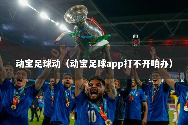 动宝足球动(动宝足球app打不开咱办)