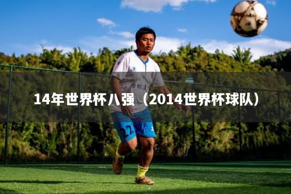 14年世界杯八强(2014世界杯球队)