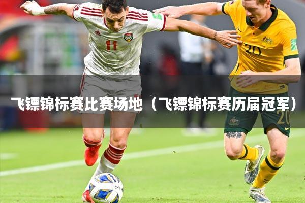 飞镖锦标赛比赛场地(飞镖锦标赛历届冠军)