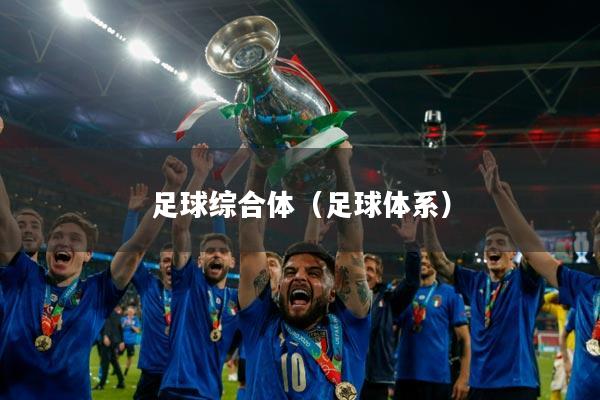 足球综合体(足球体系)