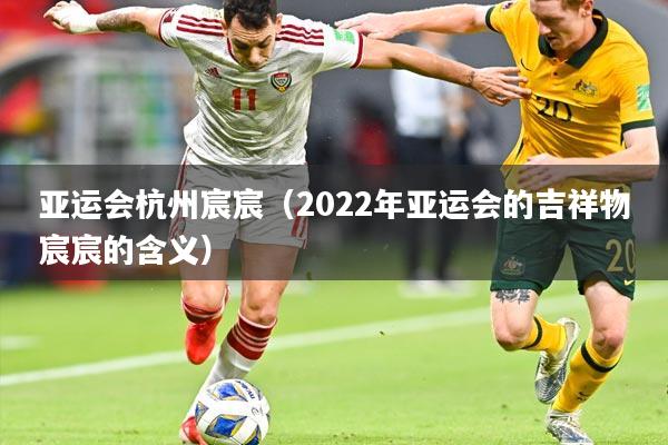 亚运会杭州宸宸（2022年亚运会的吉祥物宸宸的含义）