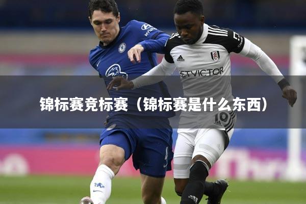 锦标赛竞标赛(锦标赛是什么东西)