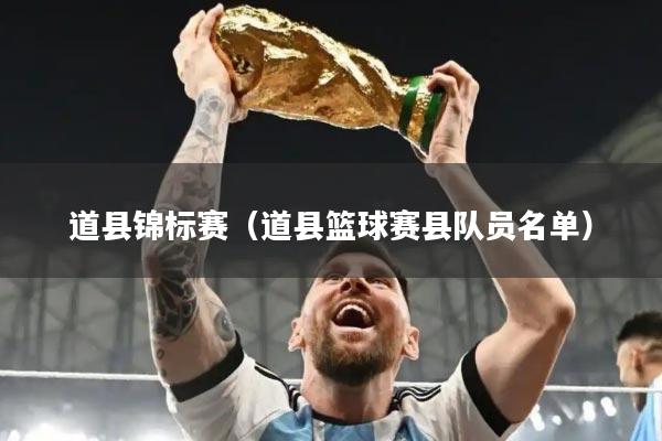 道县锦标赛（道县篮球赛县队员名单）