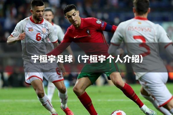 宁桓宇足球（宁桓宇个人介绍）