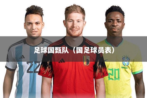 足球国甄队（国足球员表）