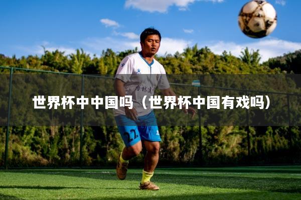 世界杯中中国吗（世界杯中国有戏吗）