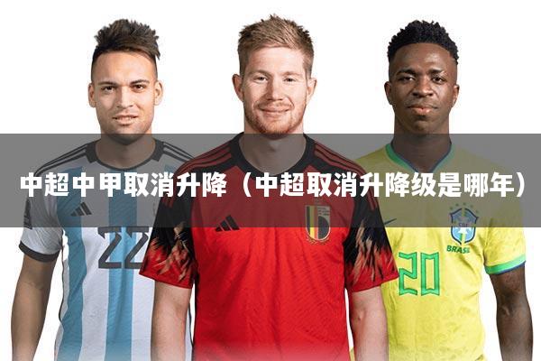 中超中甲取消升降（中超取消升降级是哪年）