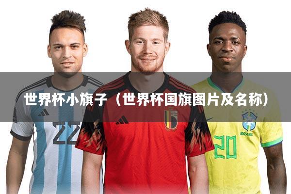 世界杯小旗子（世界杯国旗图片及名称）