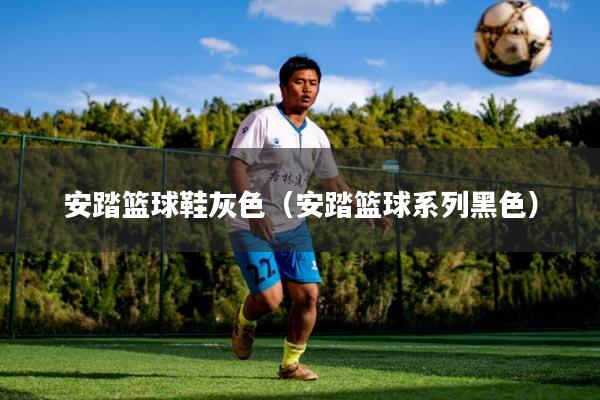 安踏篮球鞋灰色（安踏篮球系列黑色）