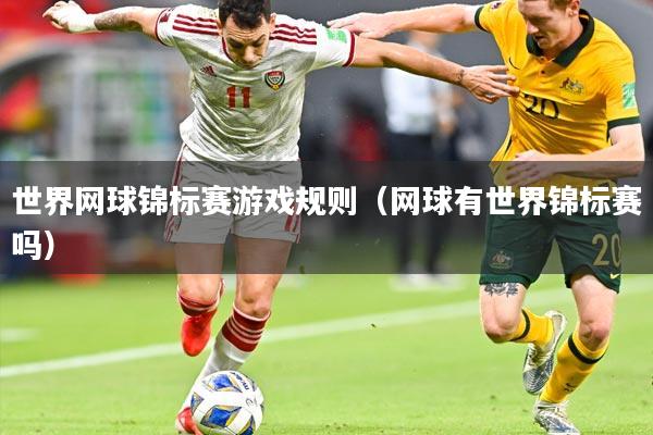 世界网球锦标赛游戏规则（网球有世界锦标赛吗）