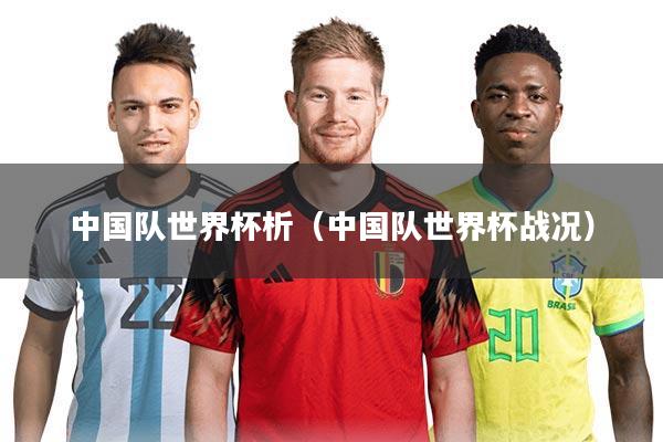 中国队世界杯析(中国队世界杯战况)